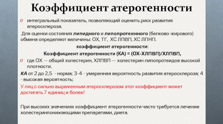 Причины и методы снижения коэффициента атерогенности у женщин в крови