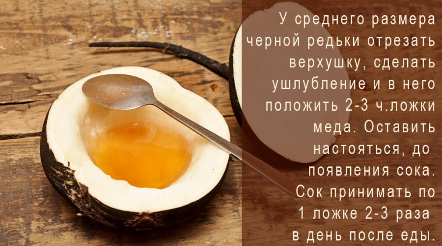 Применение редьки с медом от кашля: эффективные рецепты и преимущества