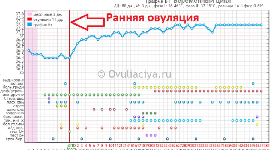 Ранняя овуляция на 10 день цикла: причины и последствия