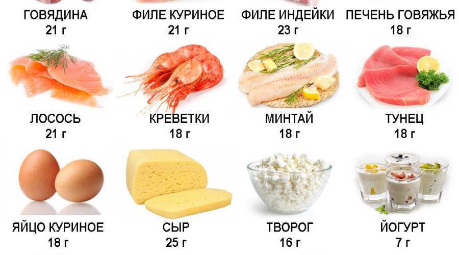 Список продуктов с высоким содержанием белка для здорового питания