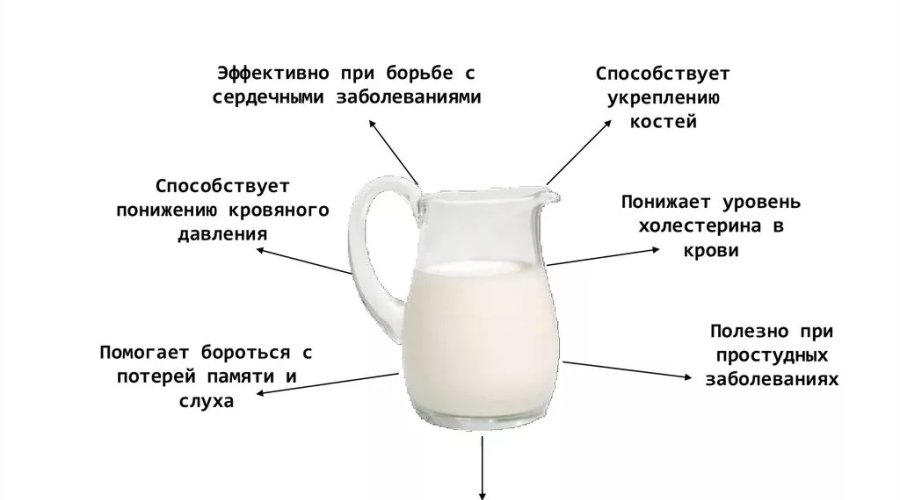 Топленое молоко — полезные свойства и негативное воздействие