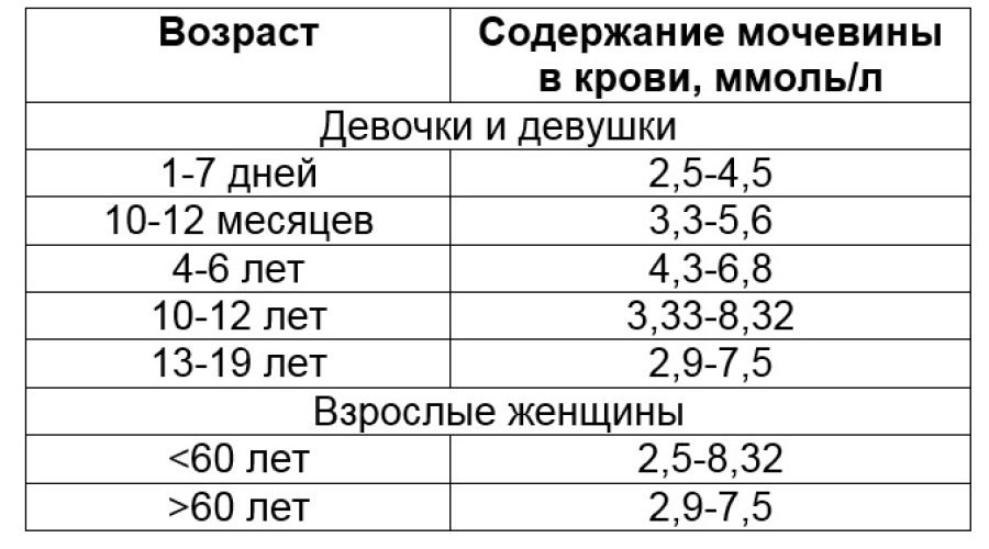 Уровень мочевины в крови у женщин: норма, симптомы отклонений, последствия