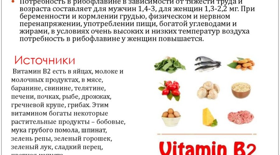 Витамин В17 — продукты и суточная потребность