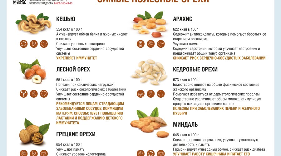 Влияние грецких орехов на грудное вскармливание: полезно или вредно?