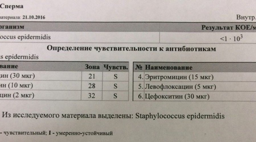 Зачем и как проводится бакпосев спермы