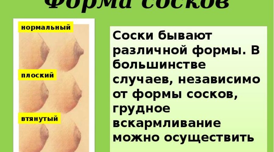 Заголовок: Загадка женских сосков: почему они могут быть большими?